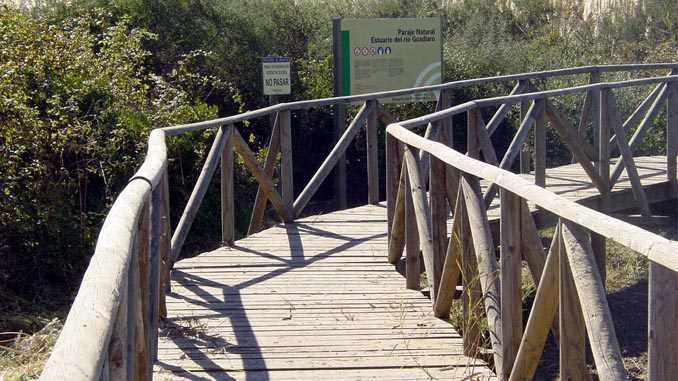 Prepararan visitas guiadas para centros escolares al estuario del río Guadiaro