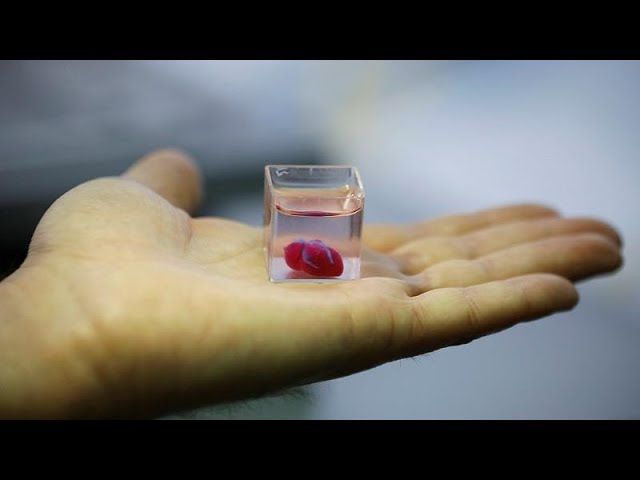 Científicos logran imprimir un corazón 3D con tejido humano que palpita