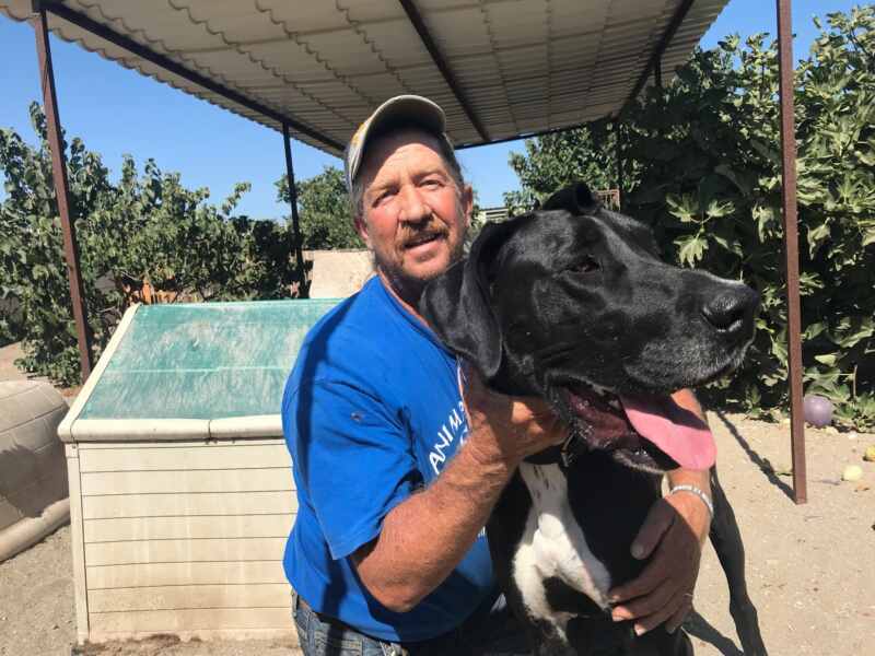 El legado de Pedro 'El holandés', más cerca de sobrevivir