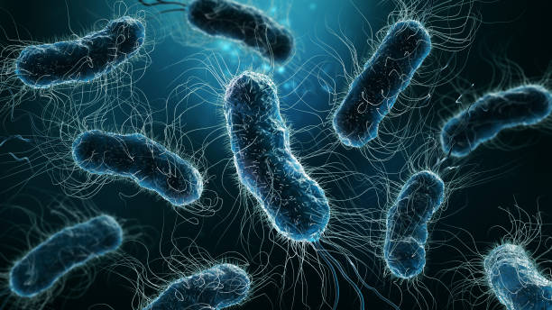 Superbacterias: El desafío biológico que definirá la próxima gran crisis sanitaria