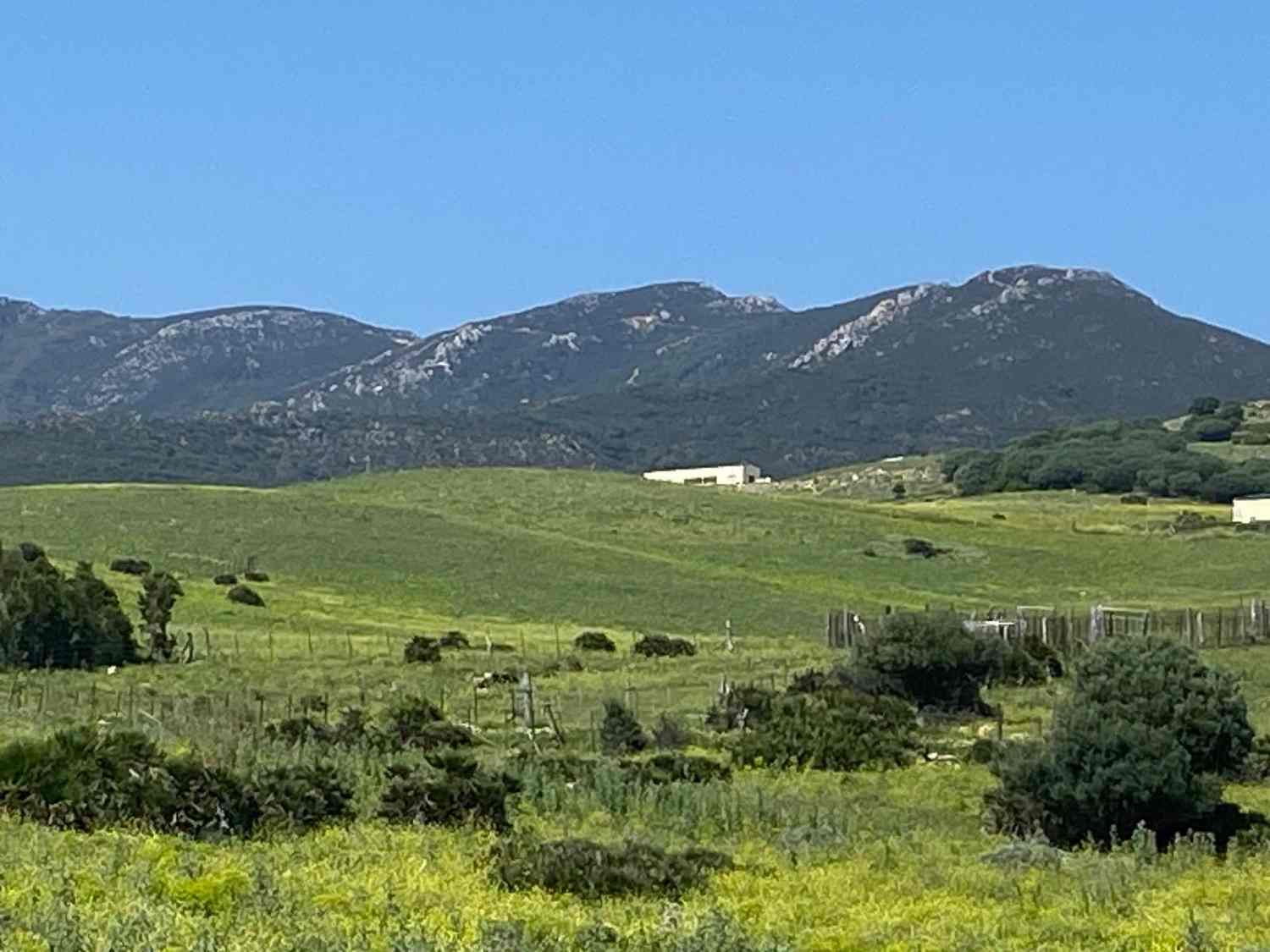 Una sentencia anula acuerdos del Ayuntamiento de Tarifa que favorecían el proyecto ‘Las Piñas’