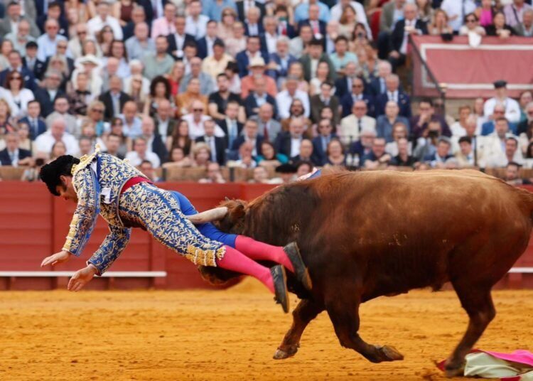 Morante de la Puebla, en la UCI tras una cornada en Sevilla con perforación rectal