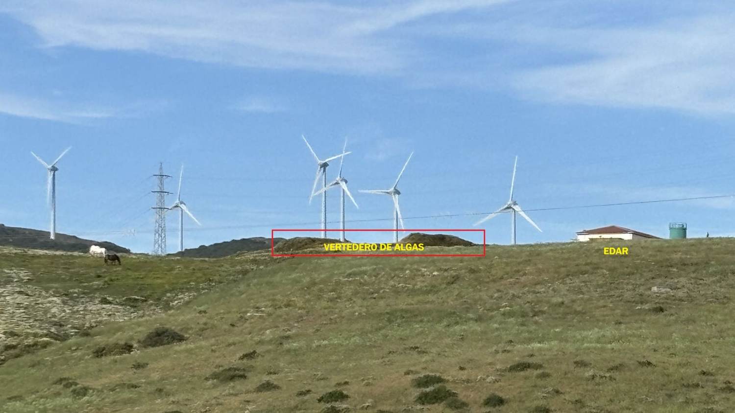 Agaden pide al Ayuntamiento de Tarifa la retirada del vertedero ilegal de algas junto a la depuradora