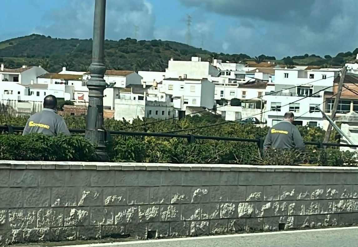 El Ayuntamiento de Tesorillo anuncia mejoras en la red eléctrica para reducir los cortes de luz