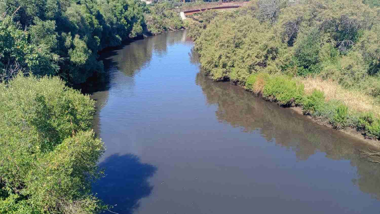 Verdemar denuncia vertidos de aguas residuales en el arroyo de la Madrevieja