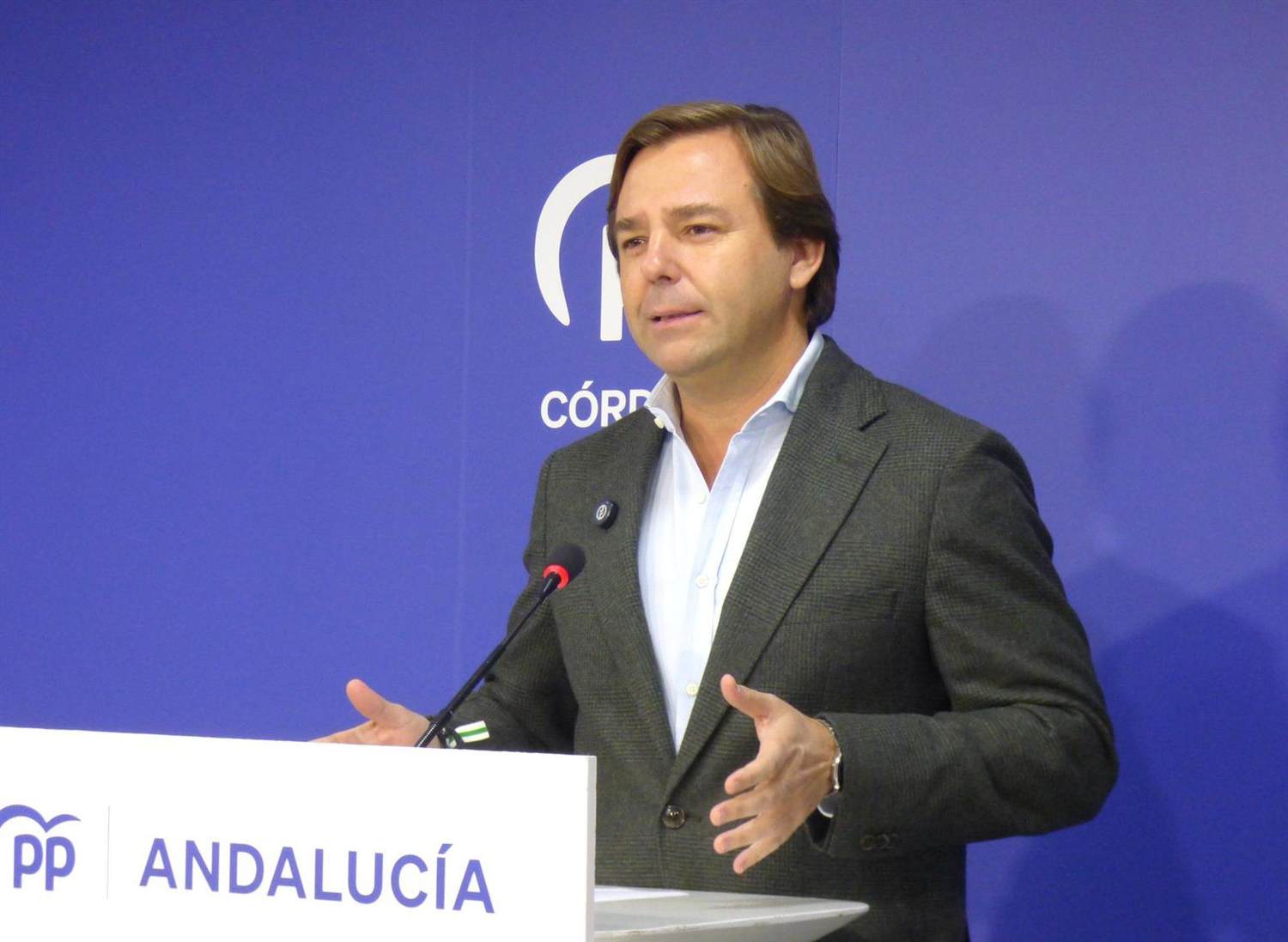 El PP-A descarta una moción de censura en Algeciras: «No nos planteamos otra cosa que no sea la estabilidad»