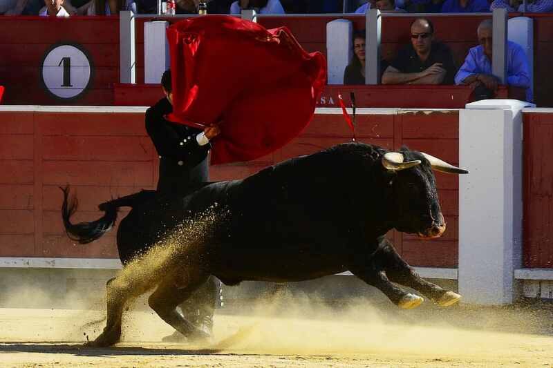 Amenazan de muerte a la alcaldesa de Conil por la organización de un festejo taurino